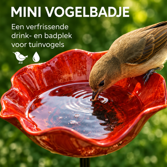 Bloemvormig Vogelbadje